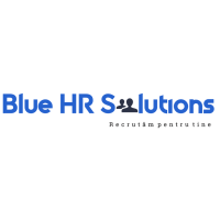 Blue HR Solutions