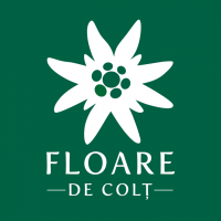 Floare de Colt