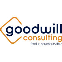 Goodwill Consulting