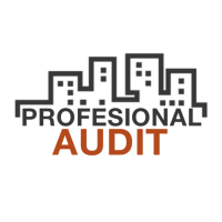 Profesional Audit